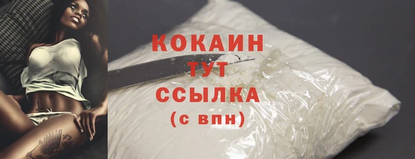 прущая мука Инта
