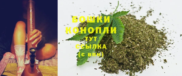 прущая мука Инта