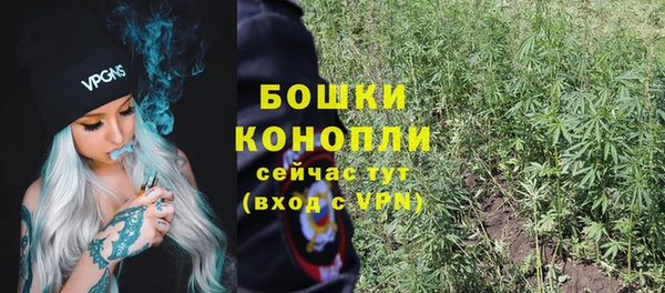 прущая мука Инта