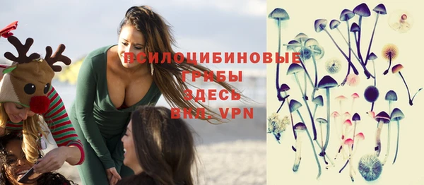 марки lsd Инсар