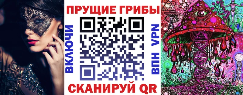 где продают наркотики  KRAKEN маркетплейс  Галлюциногенные грибы прущие грибы  Катав-Ивановск 
